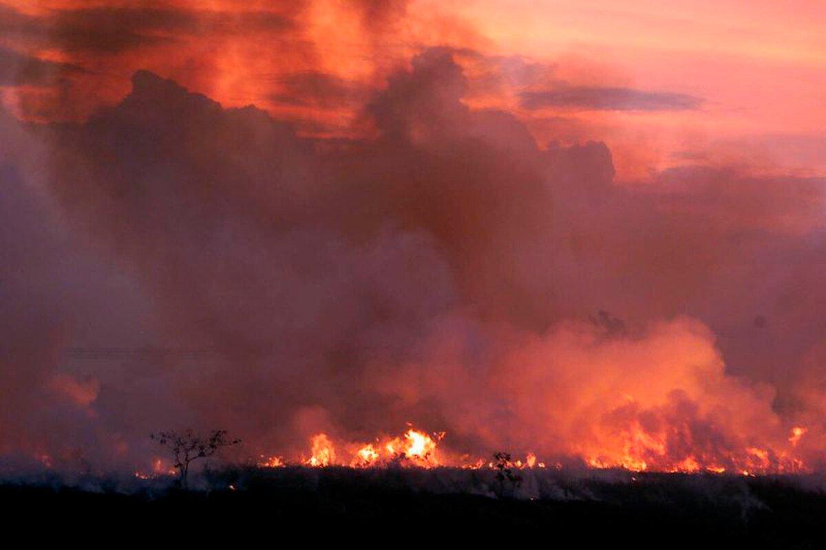 Ya son más de 70 mil incendios en el Amazonas, y esto ha generado una alerta ambiental, pues ahí se genera el 20% del agua dulce no congelada y pone en riesgo al río más largo y caudaloso de la tierra. De ese tamaño es el riesgo que corre esta zona. #AmazonasEnLlamas 🔥🌳