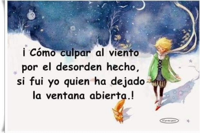 ArielCardinii's tweet image. 