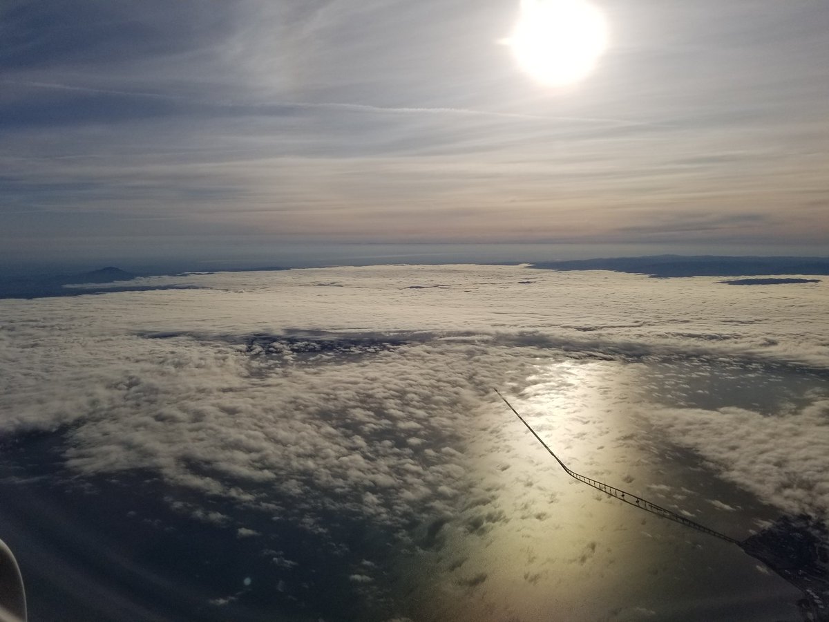 Willard Williams tweet media