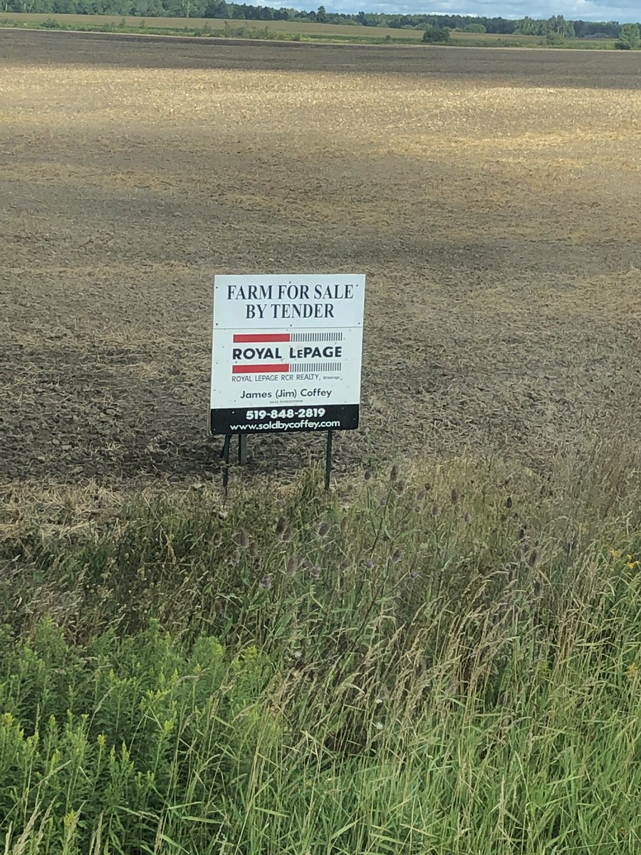 200acres for sale 195 workable all systematically tiled at 30ft. Located between Arthur and Teviotdale.