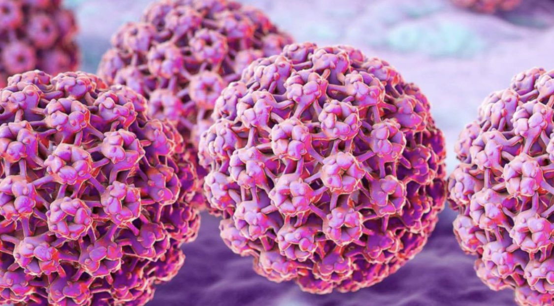 GirlsHealthEd's tweet image. August is #HPVAwarenessMonth. HPV is the most common STI and a leading causer of cervical cancer, but vaccination can prevent infection and HPV-associated diseases. It&apos;s so important girls learn about HPV and its complications before they become sexually active.