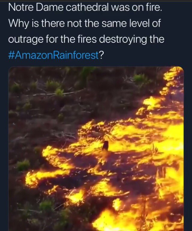 zarifamammad's tweet photo. #AmazonFire https://t.co/VVOtLOcbyA