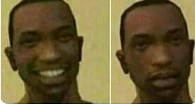 WOLFIES_BRASILL tweet media