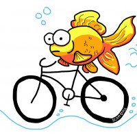 TeamFish00's tweet photo. Happy #ThirstyThursday friends!! #bikeson https://t.co/gxyosWjLVI