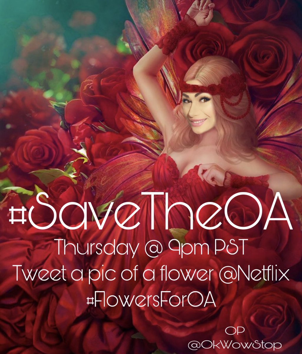 ScarlettJamesCC's tweet photo. @The_OA @netflix tonight Tweet a pic of a flower 🌹 #SaveTheOA #TheOAisReal #WatchTheOA #Netflix #NetflixOA #FlowersForOA #Lover #TheOA @okaywowstop https://t.co/7bgfLJphC5