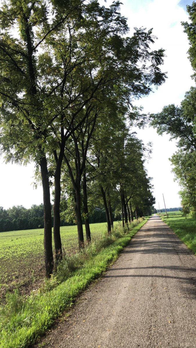 After the chaos of the last few weeks it was nice to finally get out to the barn and spend some time with Belle. Peaceful...  Much needed. #getoutside #dispatcherproblems #iam911