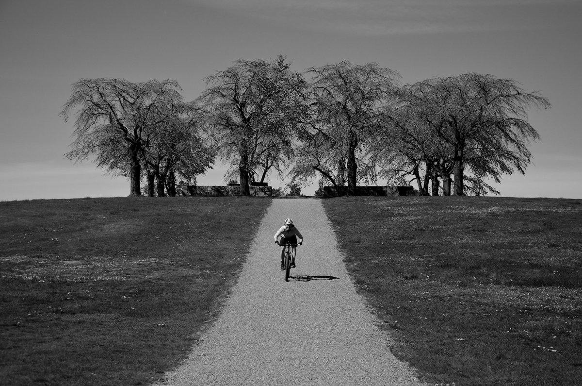 axelmattsson's tweet image. Mäktig sommarträning även i år, TACK!
Lycka till med säsongen '19/20! 🏒