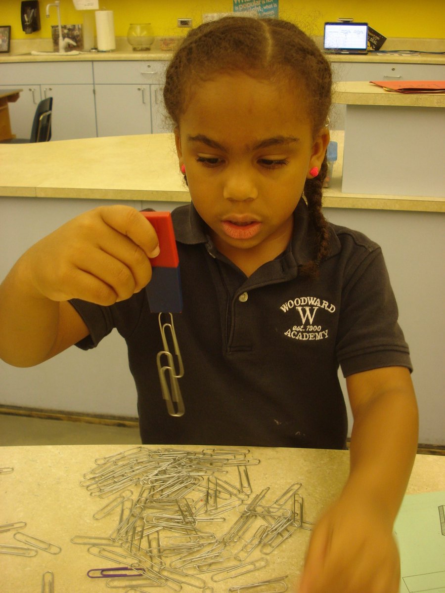 David Rogie tweet media