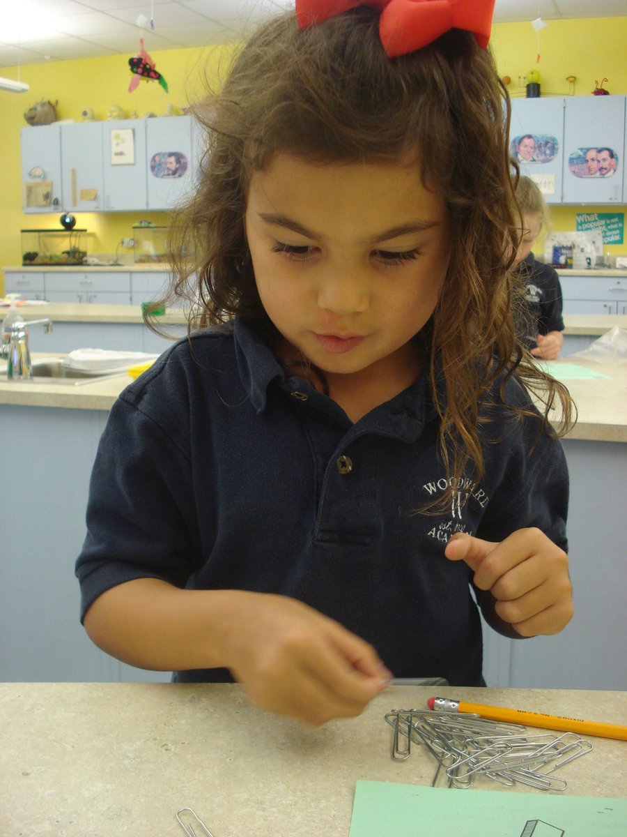 David Rogie tweet media