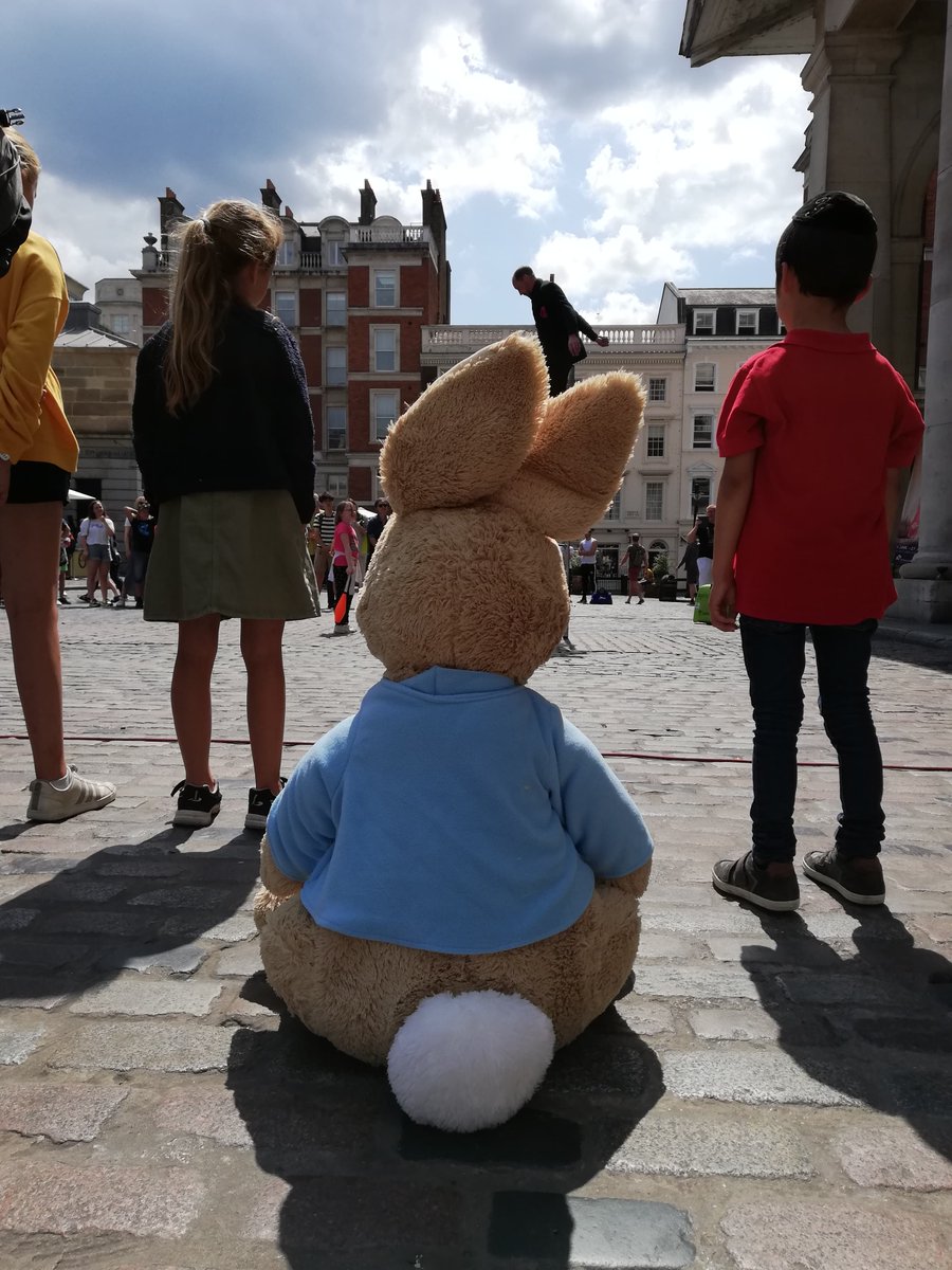 PeterRabbitLive tweet media