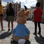 Photo by PeterRabbitLive (@PeterRabbitLive)
