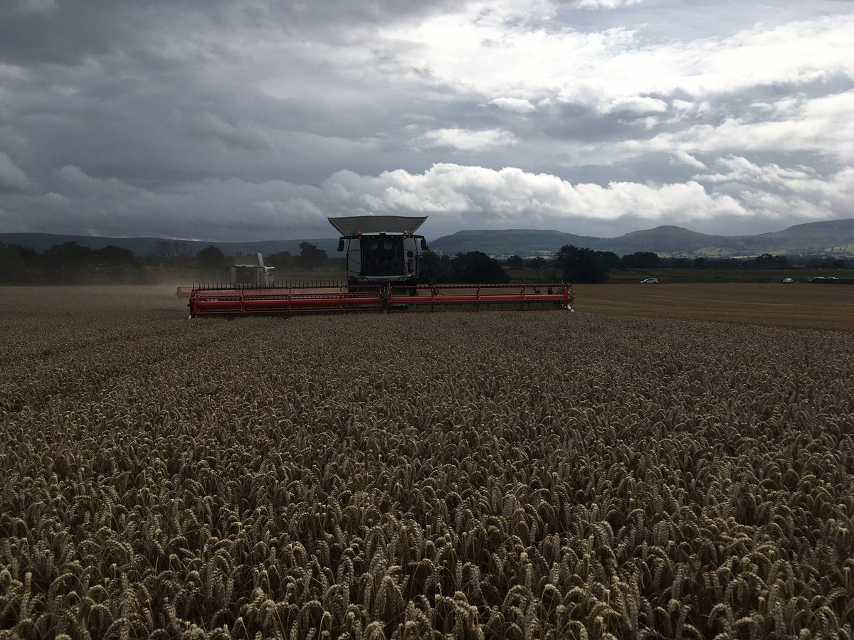 CLAAS_Eastern's tweet photo. #moody sky today —. Tomorrow Friday 9 till 3 we are at HU17 9SL #True_Revolution https://t.co/cIrBPapkCg