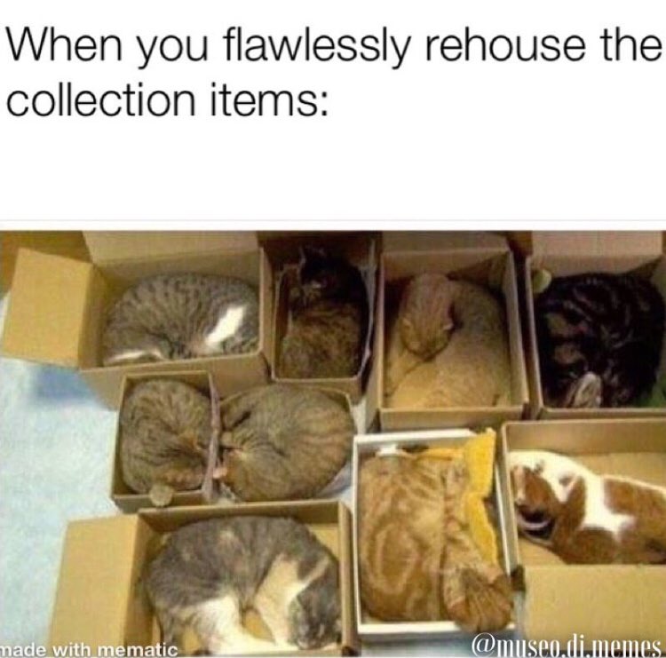 archivistmemes's tweet photo. Passed along to us from museo.di.memes on Instagram: https://t.co/gK9B0sOkvM