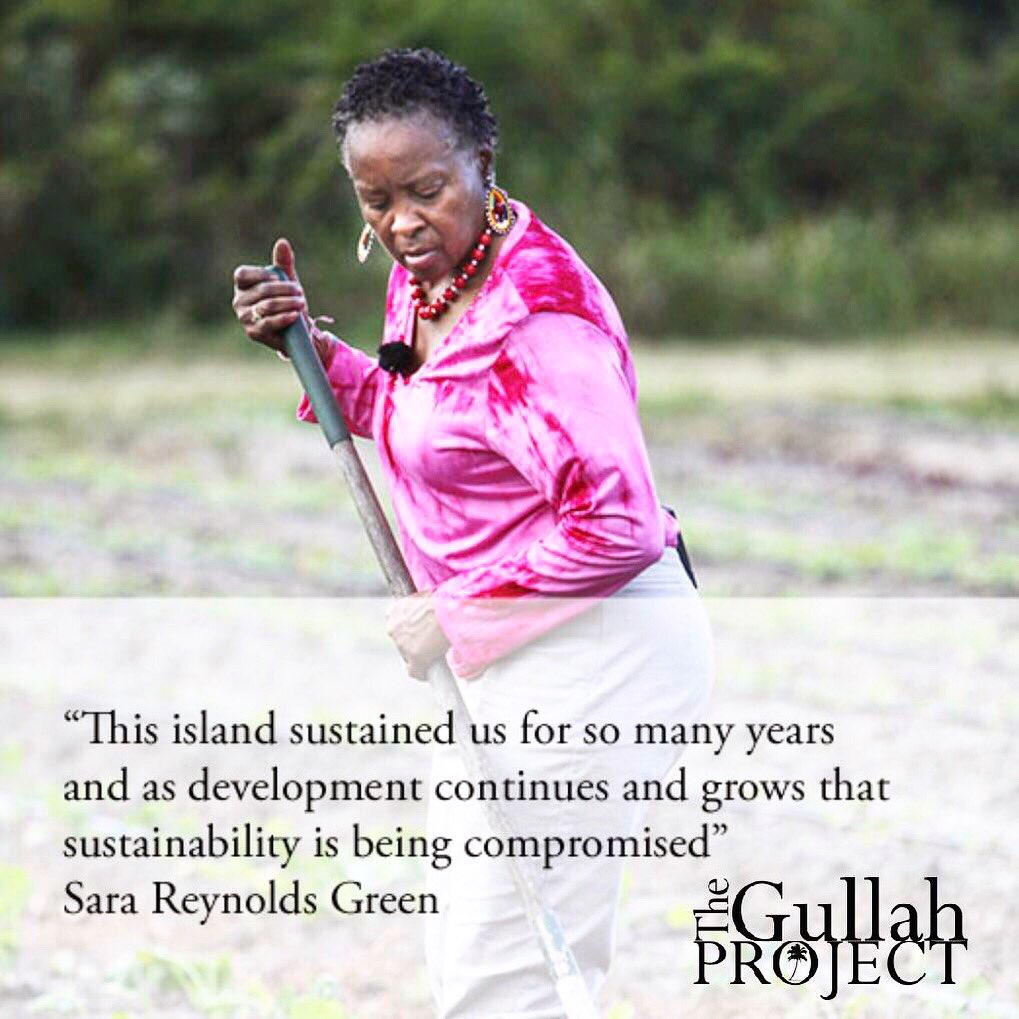 GullahProject's tweet image. This island sustained us for so many years and as development continues and grows that sustainability is being compromised.
Click here Gullah Gone to preserve this culture: thegullahproject.org/donate/
#gullah #geechee #thegullahproject #sainthelenaisland #lowcountry #africanamerican