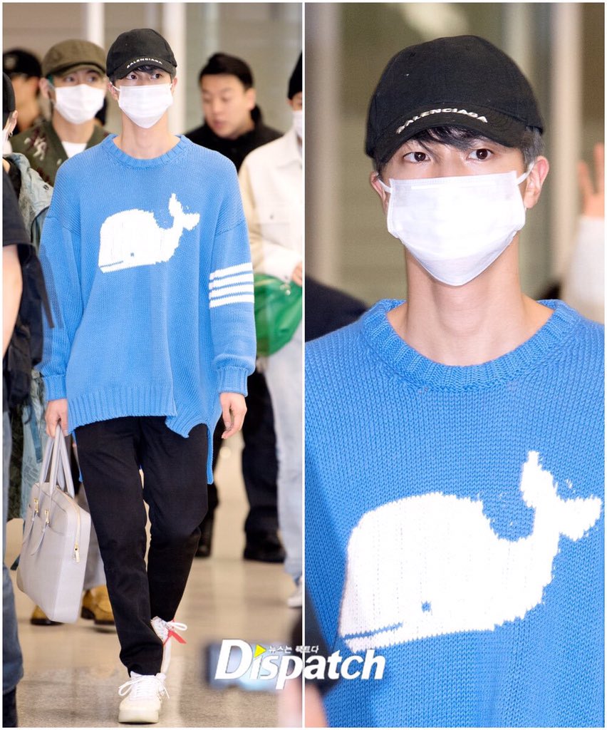 Bts Jin Whale Sweater 2025