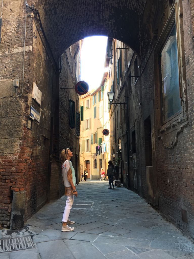 Study in Italy tweet media