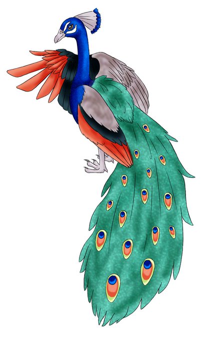 クジャクのtwitterイラスト検索結果 古い順