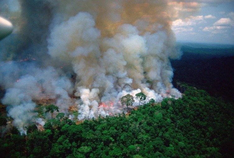 bunty0802's tweet photo. Deeply disturbing news... the #AmazonRainforest, rightfully called the 'lungs of our planet'... contributing to 20% of the world's oxygen is on fire!!! This is a wake-up call for all of us who are taking our planet for granted... #PrayfortheAmazon. https://t.co/OLG8umVFGE