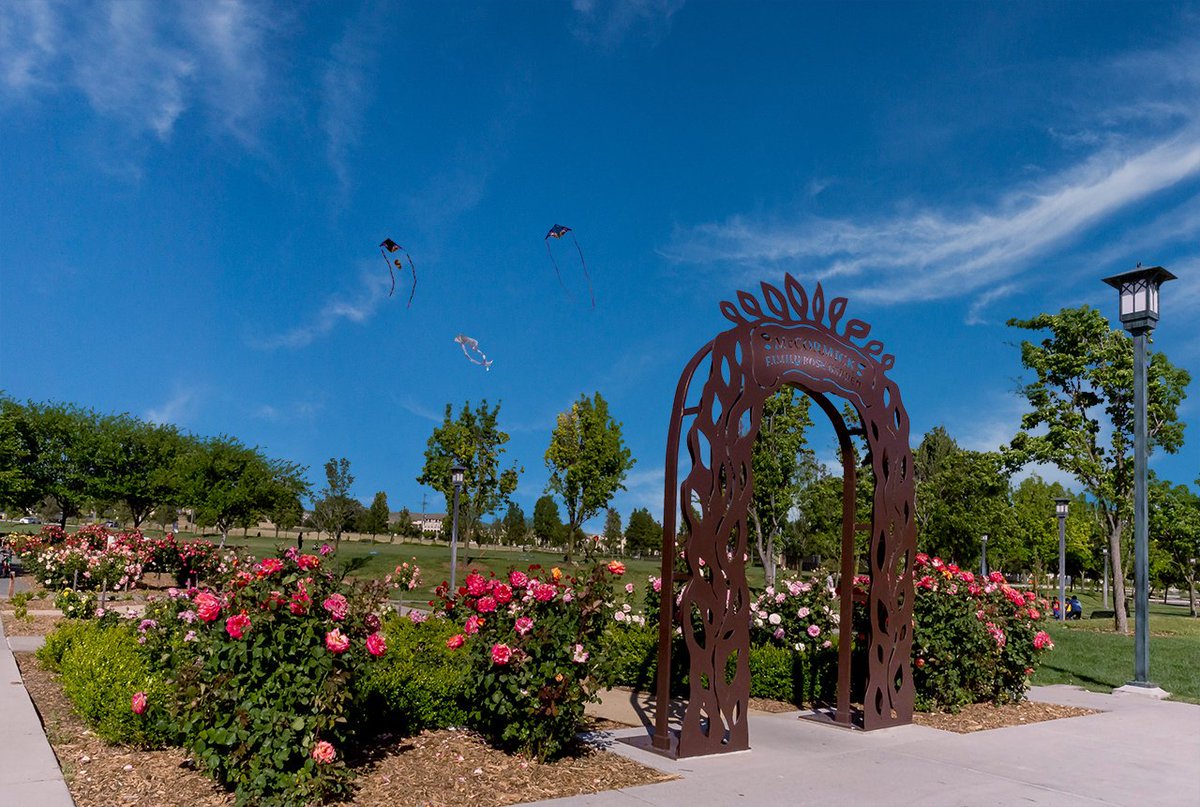 eHomeSurf's tweet image. Find us on #Google_Map. buff.ly/2ZjK2aK