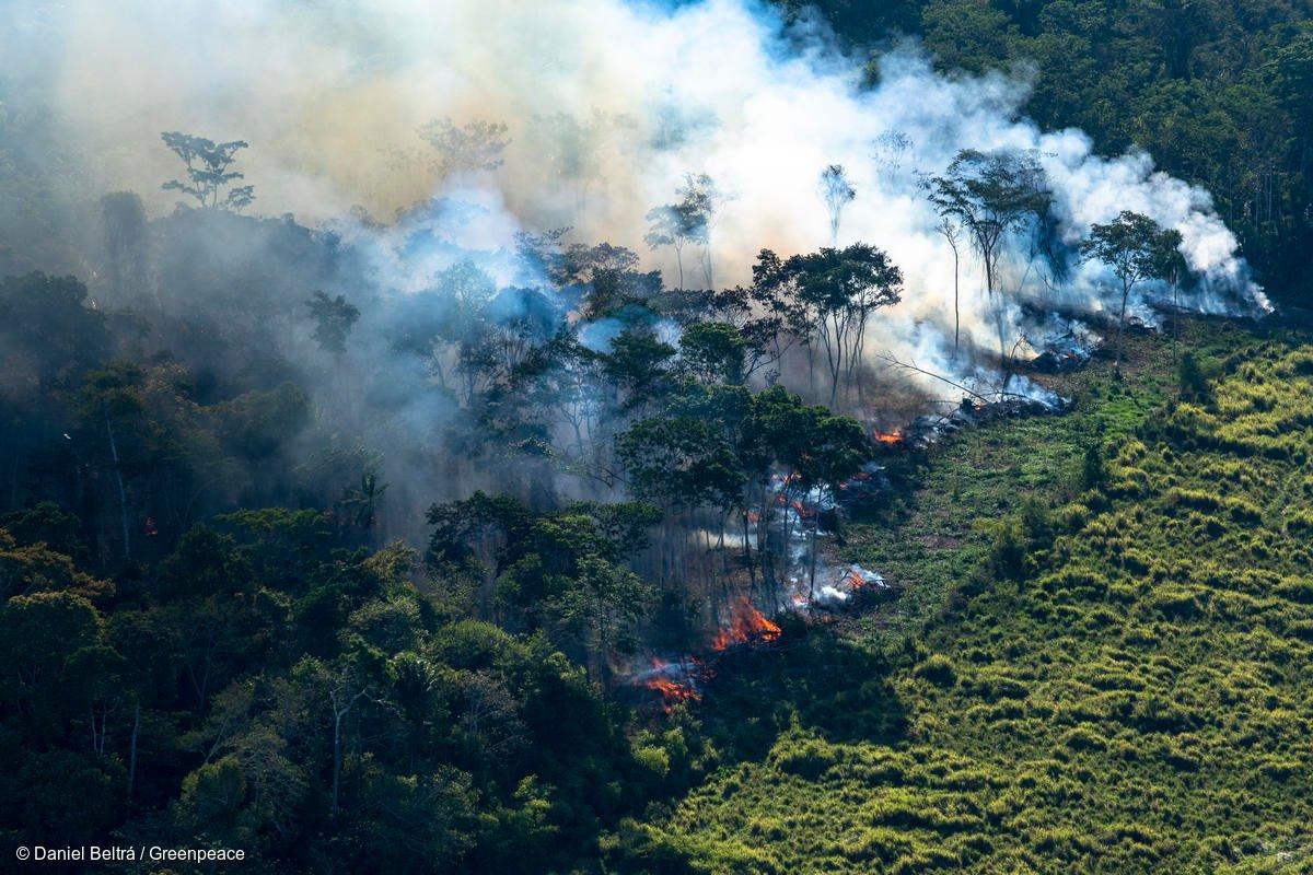 oijdigital's tweet photo. @Mafeafuentes @AidyRoa @GreenpeaceBR @anistiabrasil @rnjavalle @FridayForMadrid @CIberoamerica @agendambientalc @weenatikuna @MabelCaballeroH @MarlisAracena @tatigreenco @RJAColombia @Julietareyess @AnyelysOgando @davidescalle @Dennys_Mitchel @AngelicaGrass @evanderrojasb @Astrojuanda1 @MarGomezH @Yohanature @DELCYDel @simonpestano @Peace2world_org @EcoParche @ParedesCledy @SuttonAxell @Hakira94 @WWFespana @CamiloRamirezAv @MemoGomezFoto @mexsostenible @Planeta_Rural @baumze Y también desde #Brasil, @GreenpeaceBR desarrolla en un hilo mucha información relacionada "Queimadas e desmatamento na Amazônia. Por que acontece? O que você pode fazer para ajudar? Uma thread. (Foto de Outubro/2018)" #Amazonia #Amazonas 

Hilo con más👇
https://t.co/UtNj5hUTxU https://t.co/7Sm54yAARN