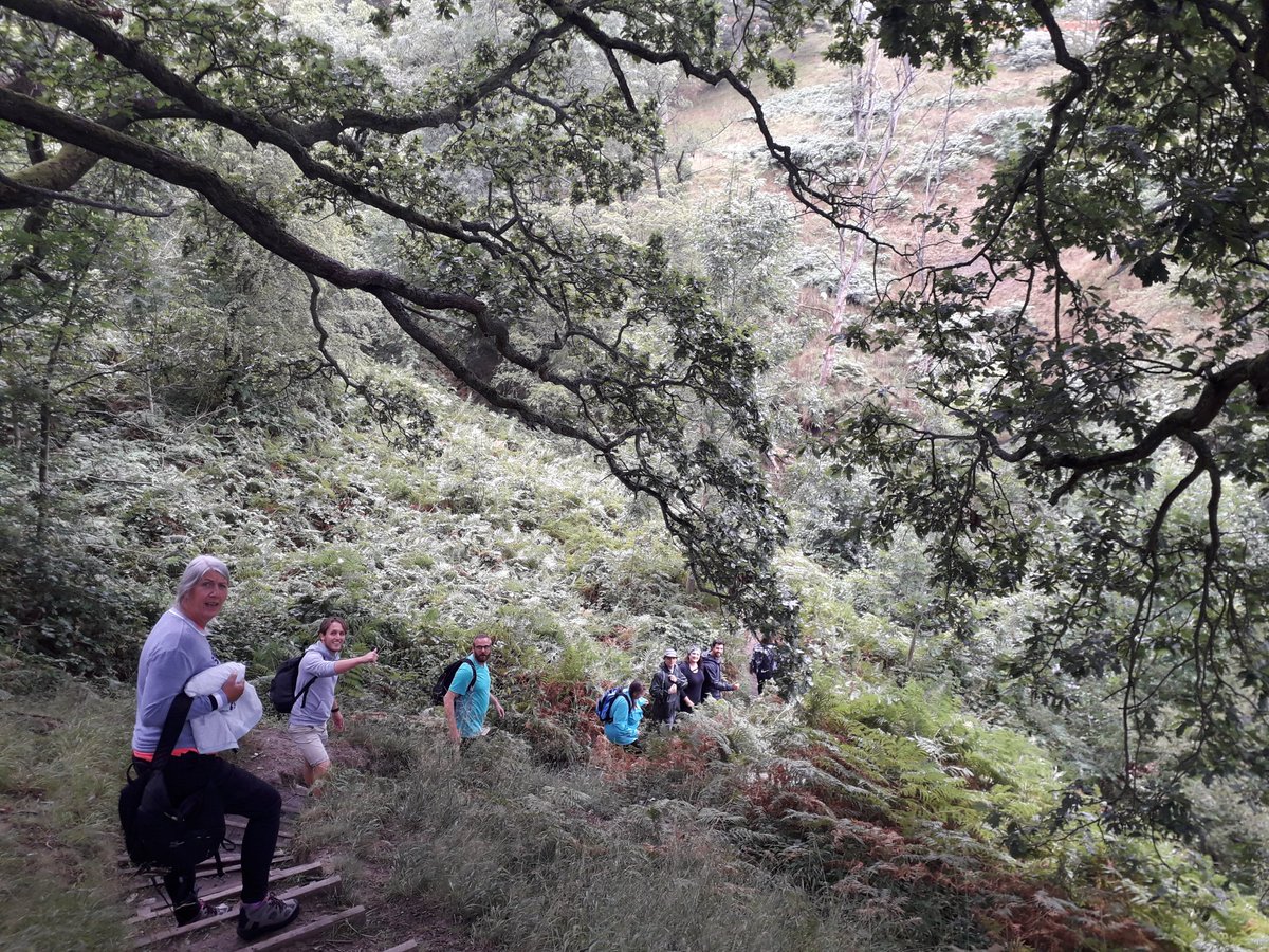 NatalieJP123's tweet photo. Absolutely brilliant team away day for @P3HLNY &amp; @WimhurstS 

Hilarious and accidental super long waterfall walk  @VisitGoathland - featuring mindfulness, lunch and ice creams 🤗 https://t.co/d0b2CqrvWo