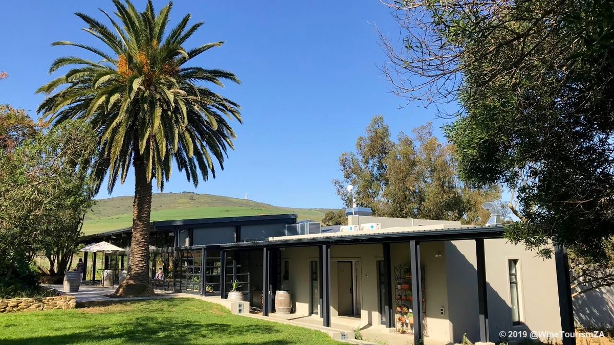 winetourismza's tweet photo. Some pics taken of the new Jéan Restaurant at Klein Roosboom Boutique Winery.
#kleinroosboom #HermanExplore #discoverdurbanville https://t.co/WYerhEptNW
