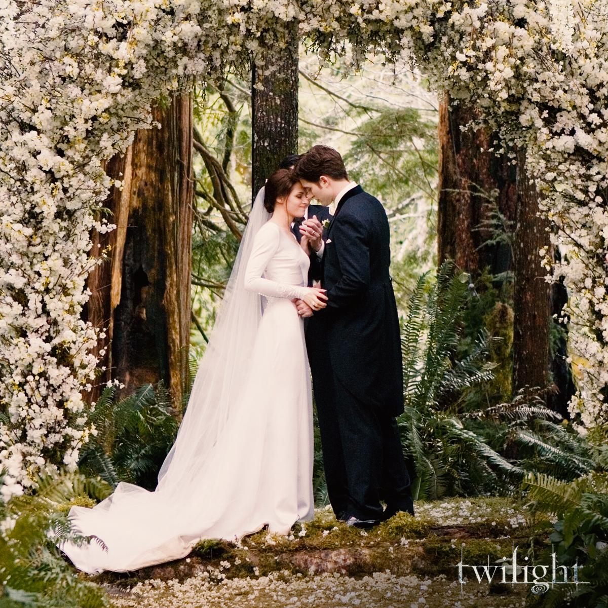 The Twilight Saga On Twitter Cue Flightless Bird American