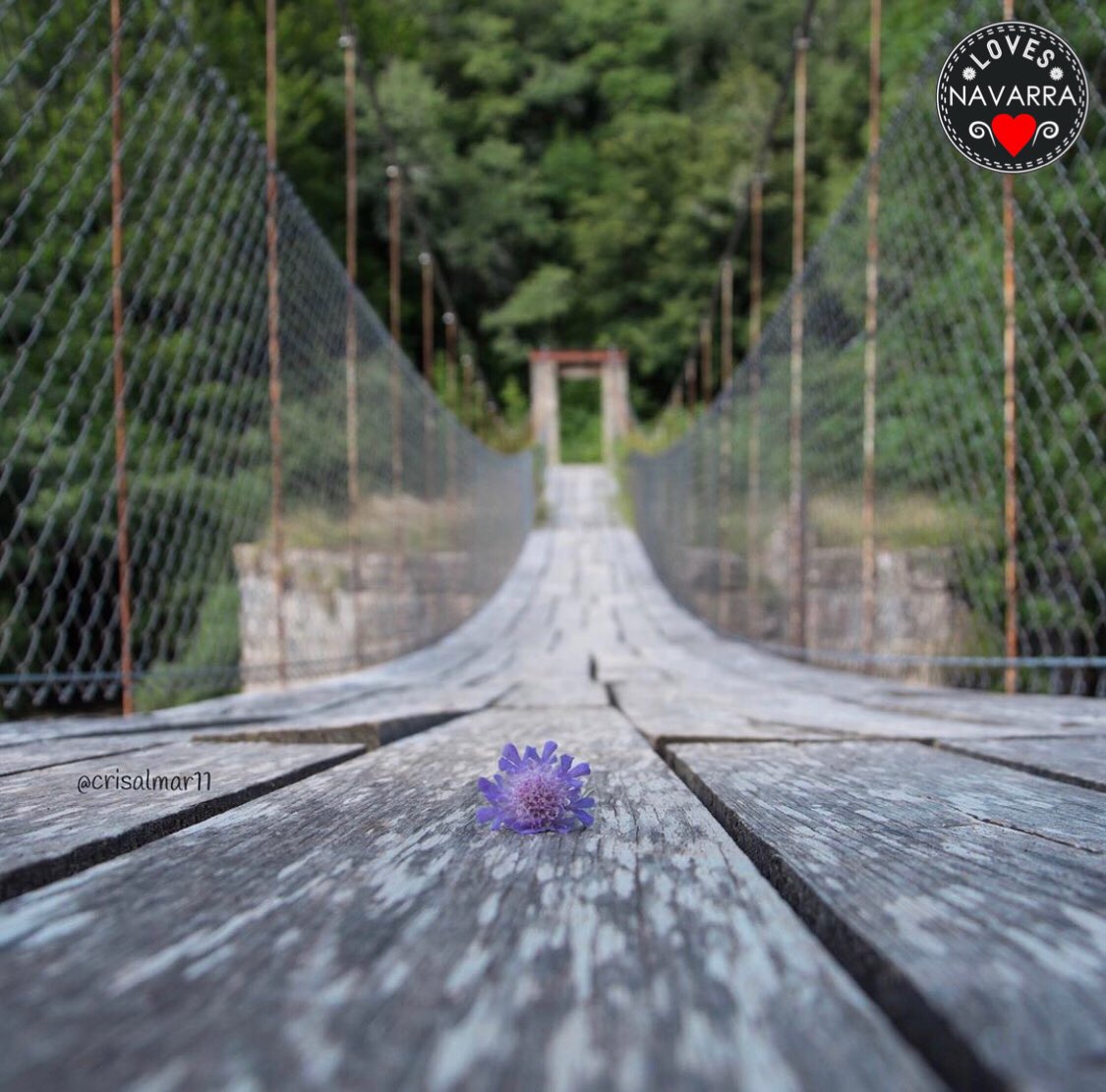 Foto #loves_navarra de Valle de #Aezkoa de <a href="/crisalmar11/">Cristina</a>