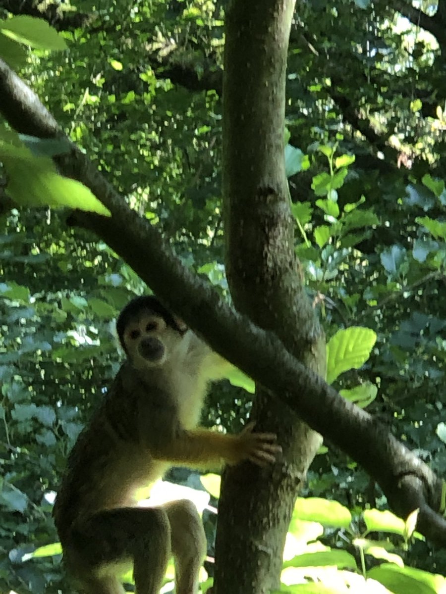 Claudia Chi tweet media