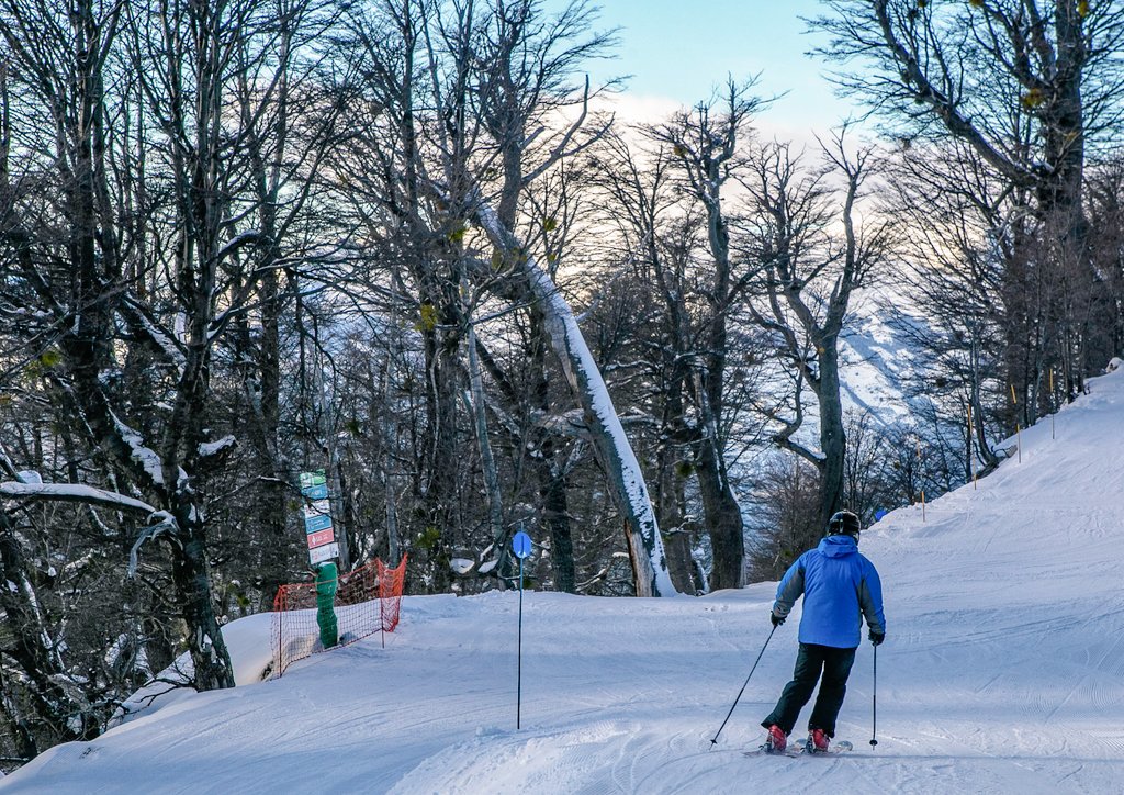 Bariloche_ar's tweet photo. #InviernoConTodo es esquiar ⛷entre bosques milenarios para llegar a una #CervezaArtesanal 🍺😉.
#Bariloche 
https://t.co/gS5TmRib01 https://t.co/eWgee4jLJw