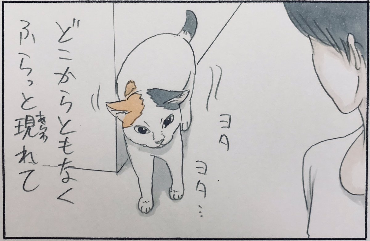 『ときどき』 