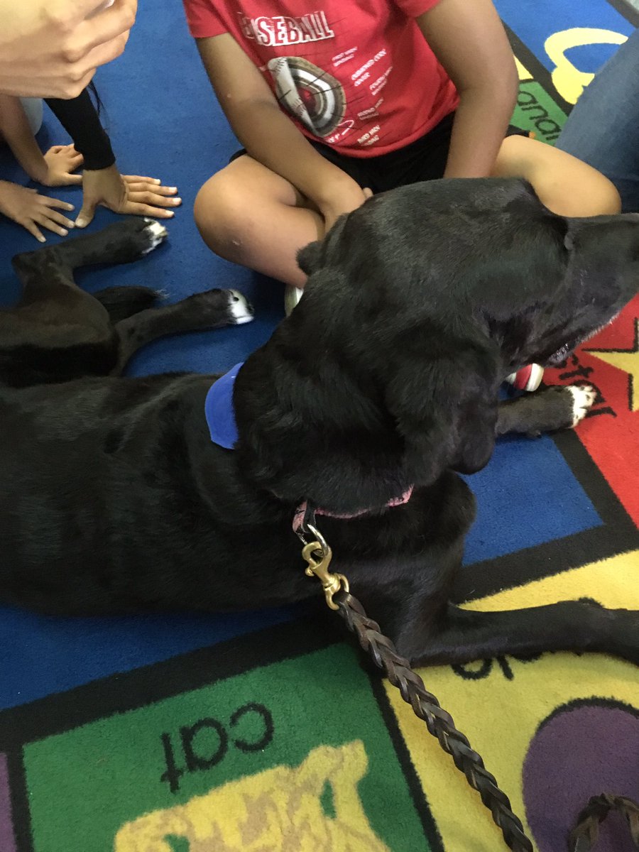 JManiakas's tweet photo. Maggie Moo received lots of love ❤️ at Nora! https://t.co/0NxetUXVwi