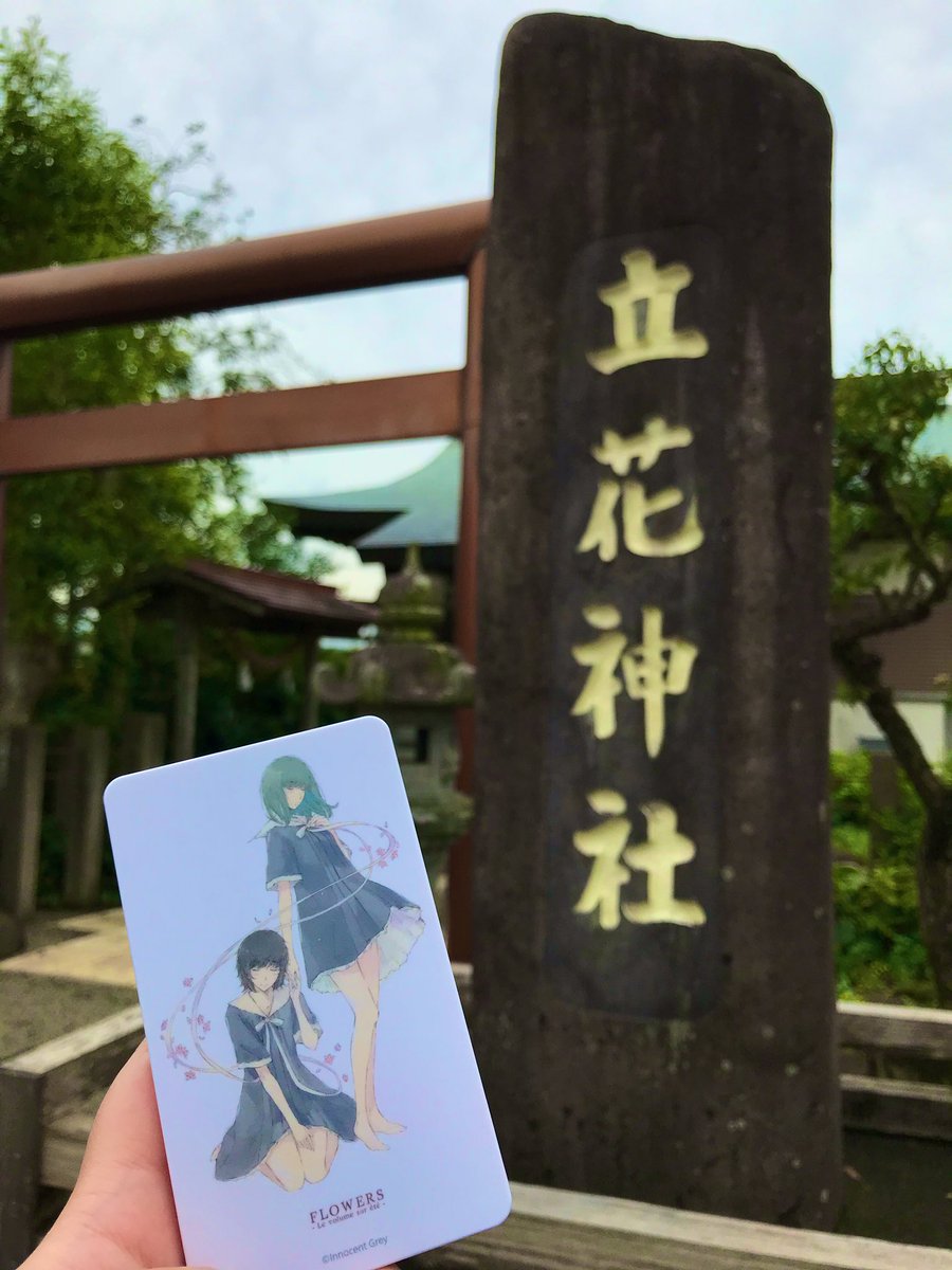 花菱立花 Twitter Search 花菱立花 Twitter Search