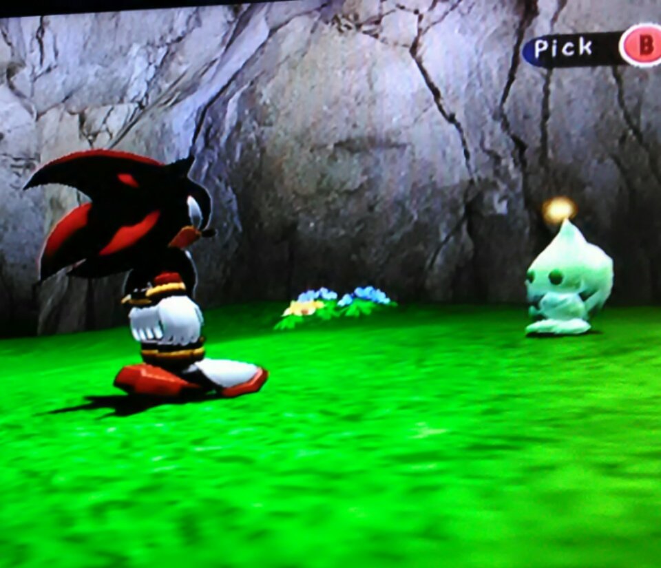 SantosElHalper's tweet photo. I will never stop thinking Shadow in the Chao Garden is hilarious. https://t.co/24km3ewWWV