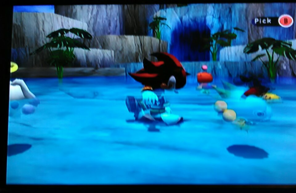 SantosElHalper's tweet photo. I will never stop thinking Shadow in the Chao Garden is hilarious. https://t.co/24km3ewWWV