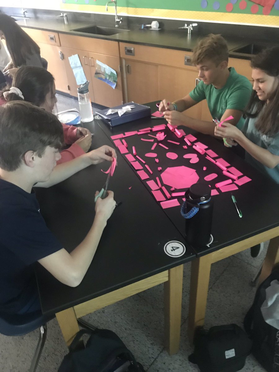cvhssci's tweet photo. Davis’s Biology students posting what they know about cells 😬! #pawsitivelyamazing @CVHSGrizzlies https://t.co/2oJD1N0nqO
