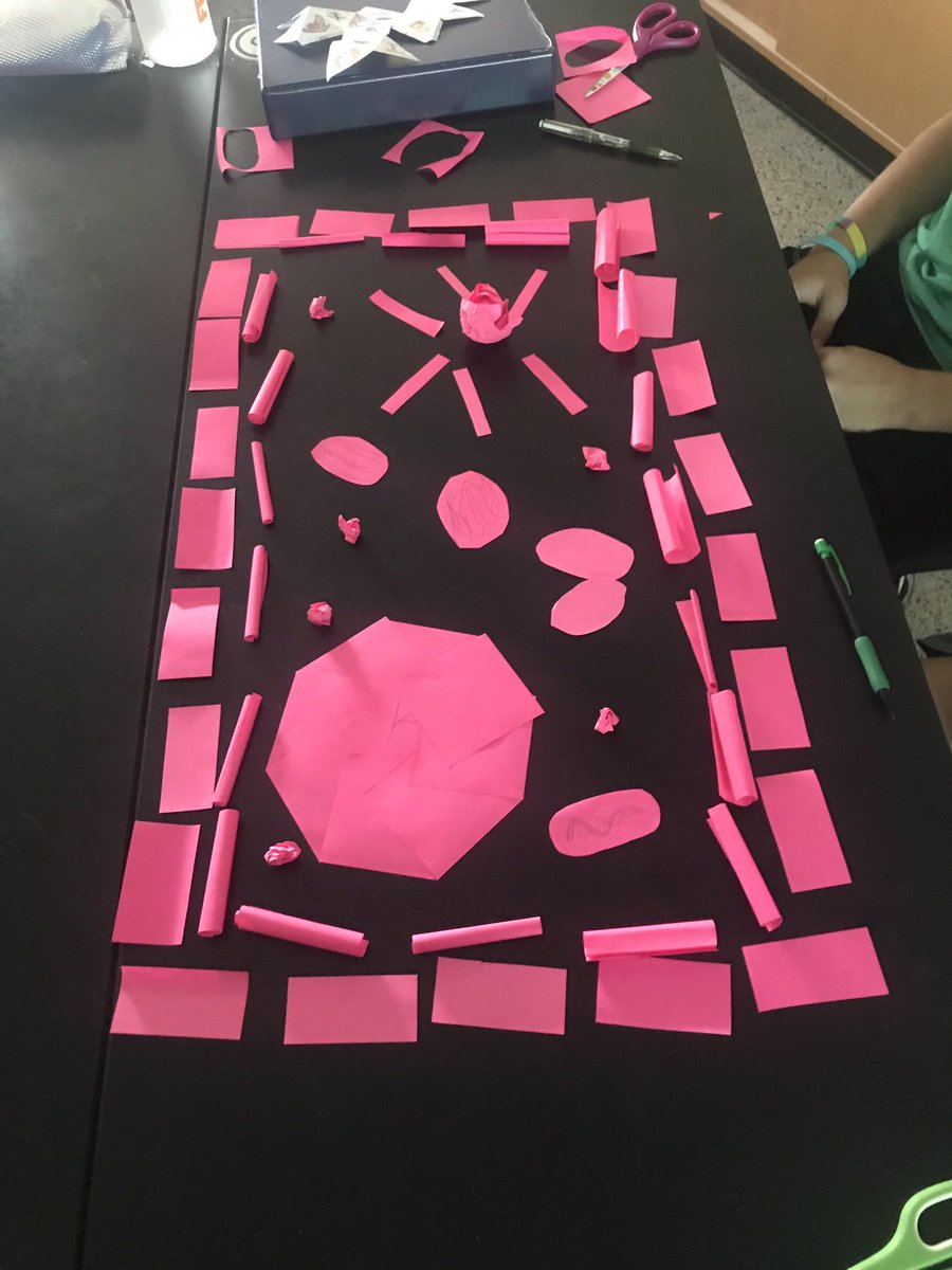 cvhssci's tweet photo. Davis’s Biology students posting what they know about cells 😬! #pawsitivelyamazing @CVHSGrizzlies https://t.co/2oJD1N0nqO