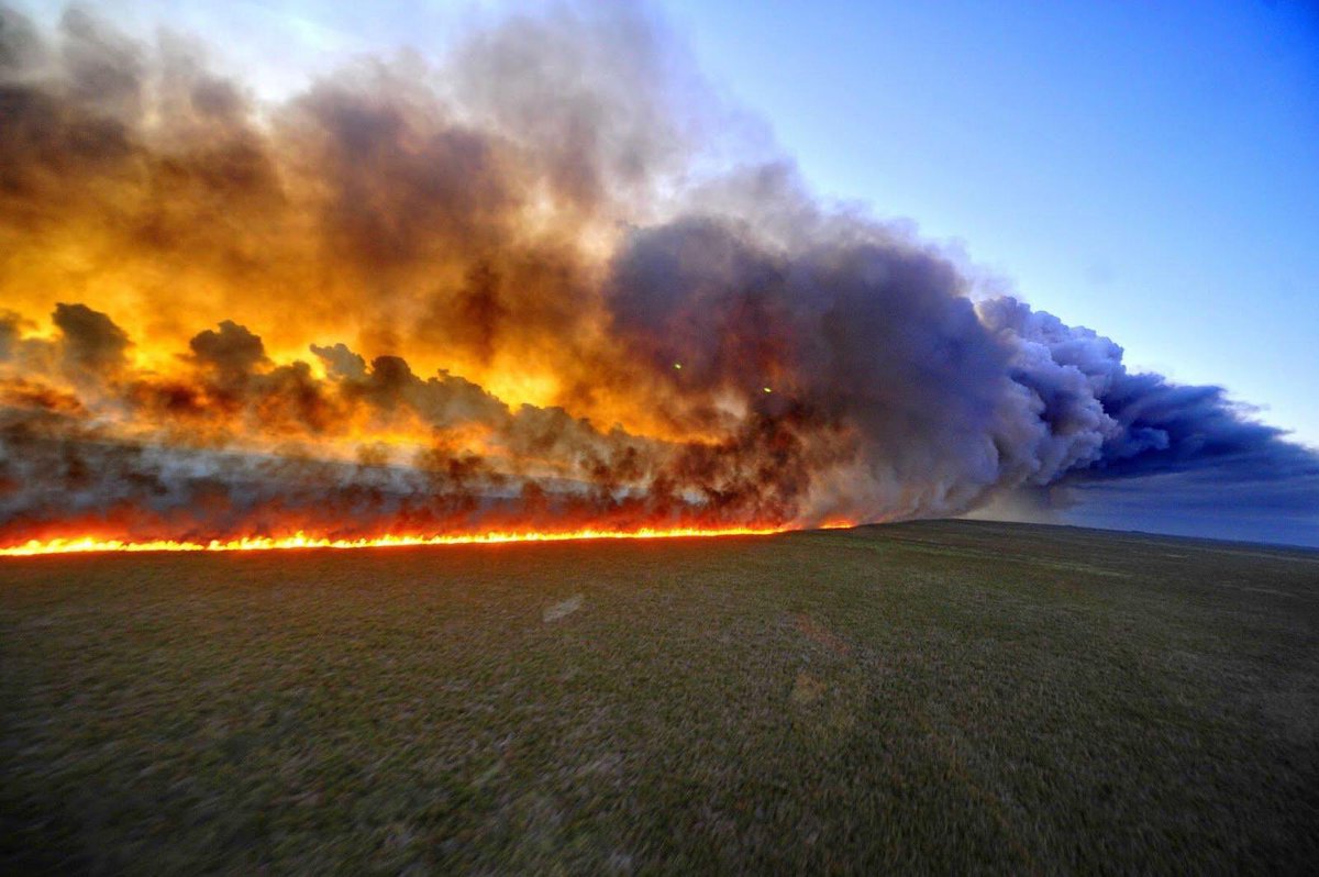 World's tweet photo. There was worldwide outcry when the Notre Dame cathedral was on fire. Why is there not the same level of outrage for the fires destroying the #AmazonRainforest that produces more than 20% of the world’s oxygen? https://t.co/XPjCmG4wOi