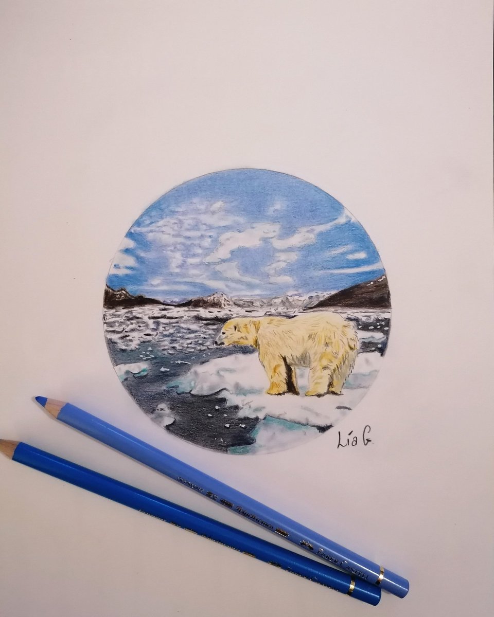Oso
#art #artist #pencildrawing #pencil#ilustracion #ilustracion #illustration #policromosfabercastell