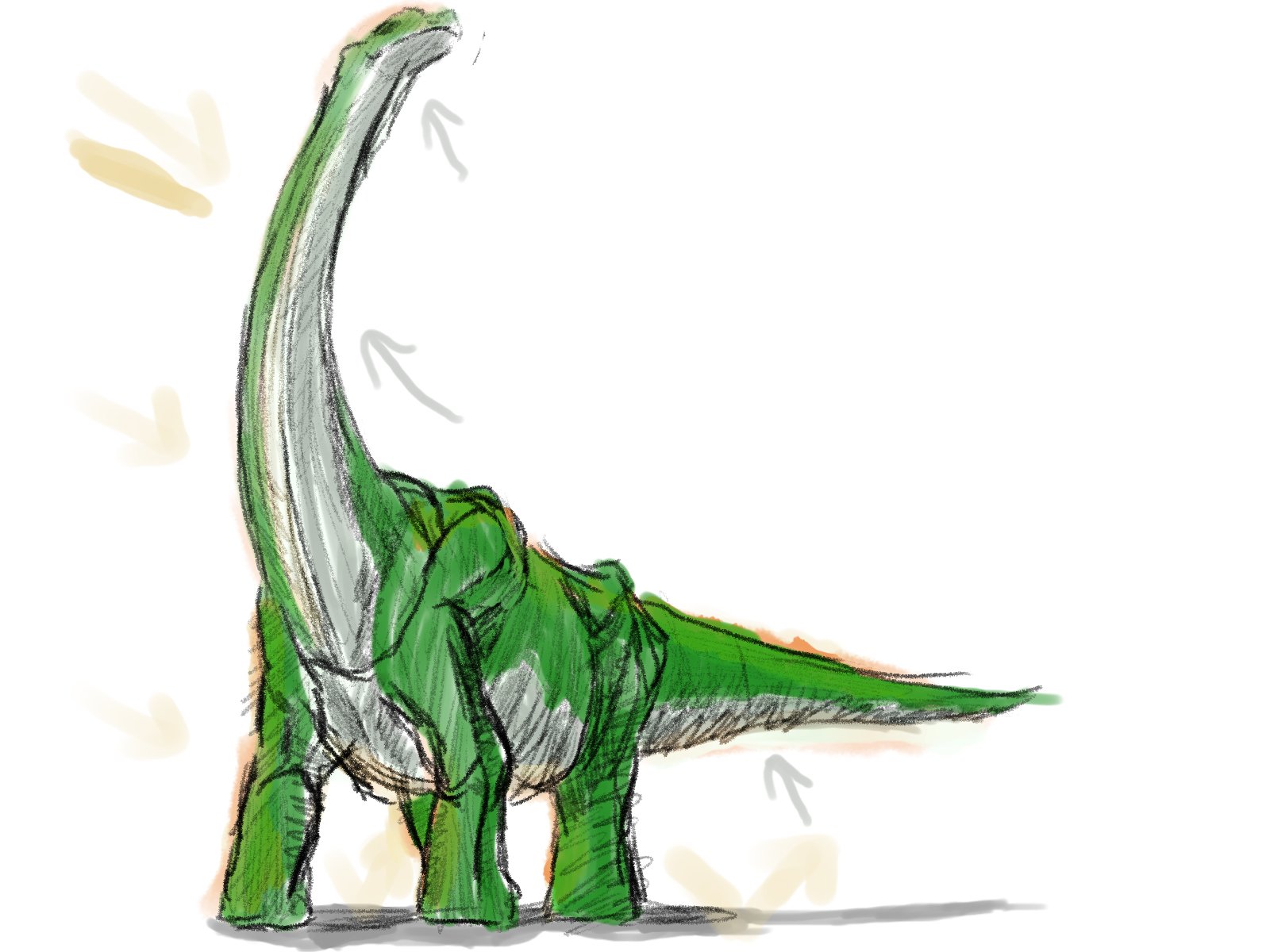 Yusan Toon モンスターイラスト描き方ブログ さんのブラキオサウルスを模写した 筋肉の構造知らんから本当に真似しただけだから なんかへんｗ 動物の体の構造もちゃんと知りたいな 初めて描いたけど楽しかった 模写 恐竜 参考hp T Co