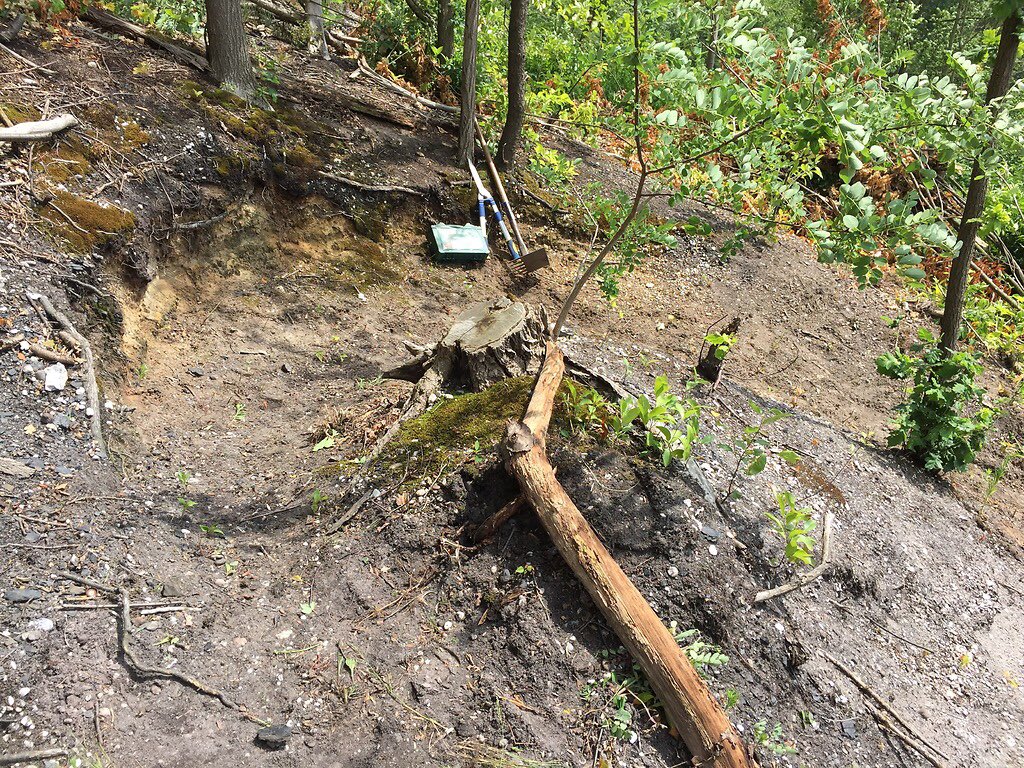 Aanstaande zaterdag is er weer een werkdag voor het aanleggen van de #MTB-route. Vele handen maken licht werk! Help u ook (een paar uur) mee? #mtbrouteurk #mtburk #mtbopurk #mtb #mtblife #mtbforlife #mtbman #mtbgirl #vrijwilligersgezocht #vrijwilligerswerk #voordoorenmetelkaar