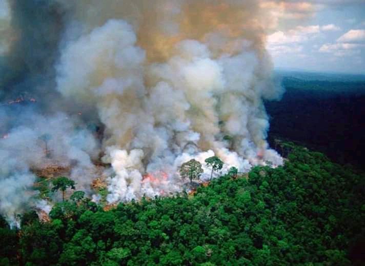chinsbunny's tweet photo. There was a worldwide outcry when Notre Dame Cathedral was on Fire...why there is not same level of outrage for fires destroying Amazon Rainforest...No Media coverage in India.#PrayForTheAmazon #AmazonRainforest. I think instead of #PrayForTheAmazon it should be #prayforYourself https://t.co/CuEmkFPEUt