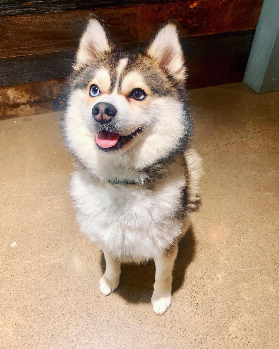 catena consulting engineers tweet media