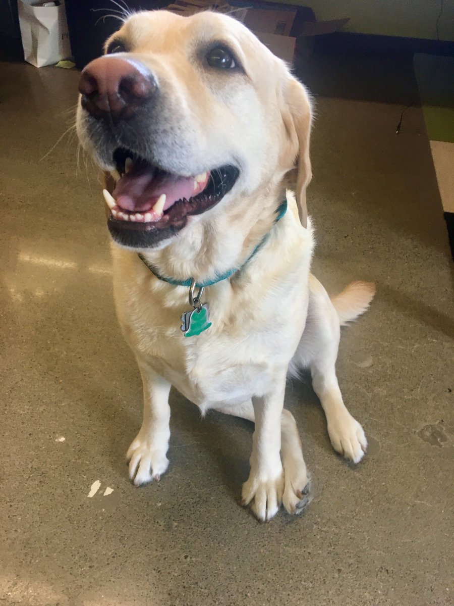 catena consulting engineers tweet media