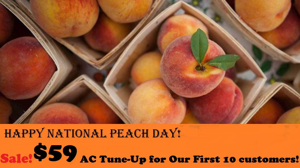 Have A Peachy Day!