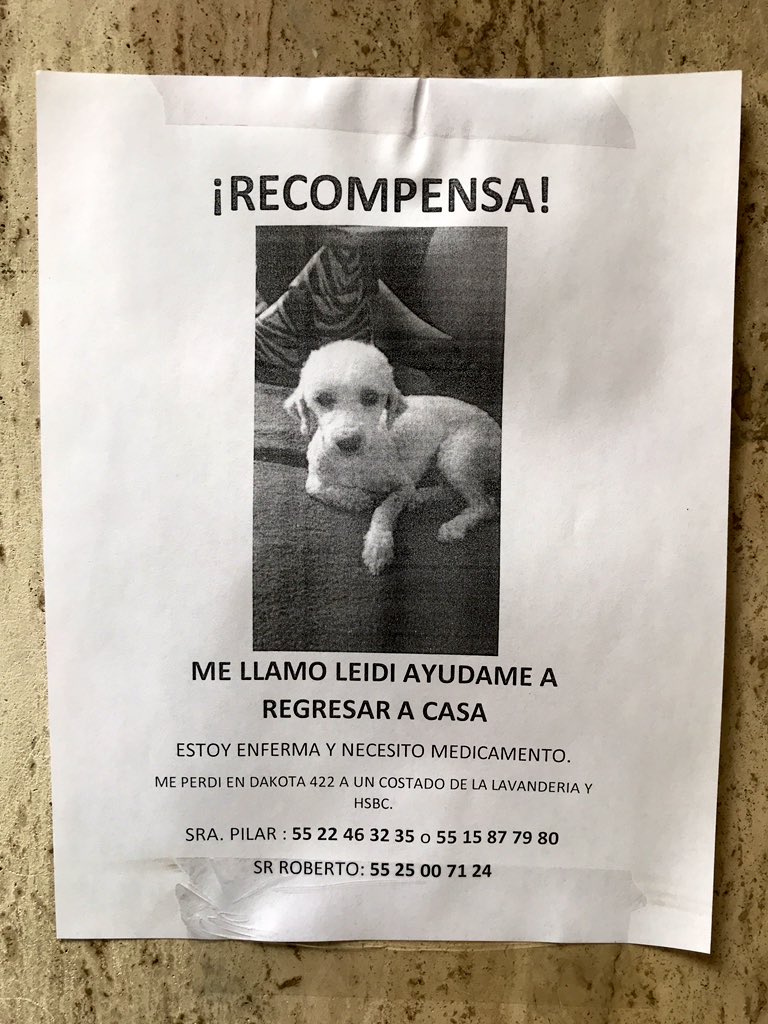 Normitts's tweet photo. Ayuda vecinos de @LaNapolesCdMx 🙏🏻 https://t.co/UPzLXYeUXm