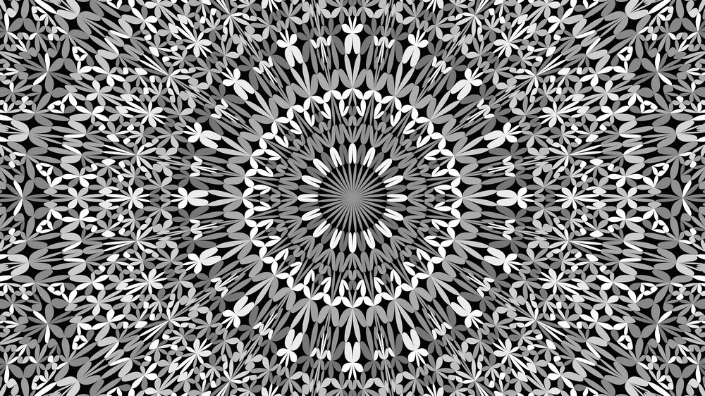 DavidZydd's tweet photo. Grey abstract jungle garden mandala geometry background - symmetrical vector design #backgrounds #BohemianDesign #vectors #VectorGraphic #vector #MandalaPatterns #MandalaPatternDesign #bohemian #MandalaDesign #graphics #BackgroundDesign https://t.co/6VomIg3mAt https://t.co/IdVO4Q9AxS
