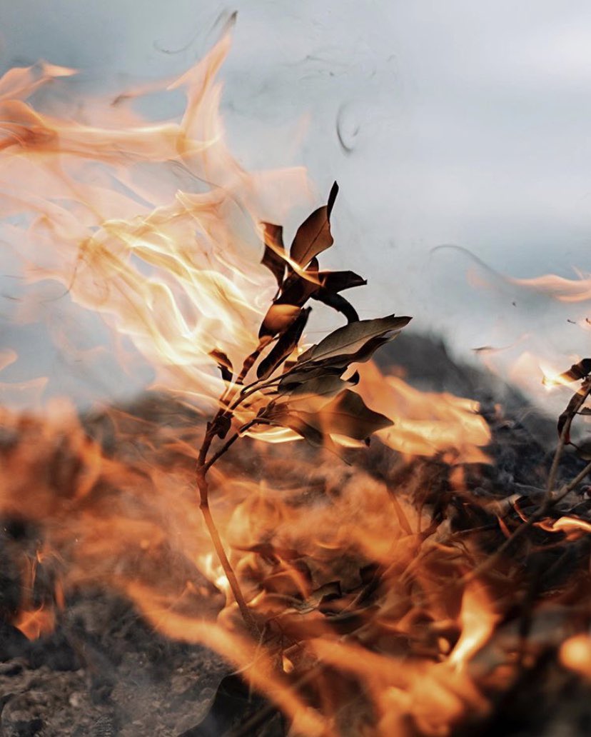 namziiww30's tweet image. 🍂
#Livegreen
#Learngreen
#Prayforamazonia
#Savetheamazon

Picture credit: #AlfredKenneally on @unsplash