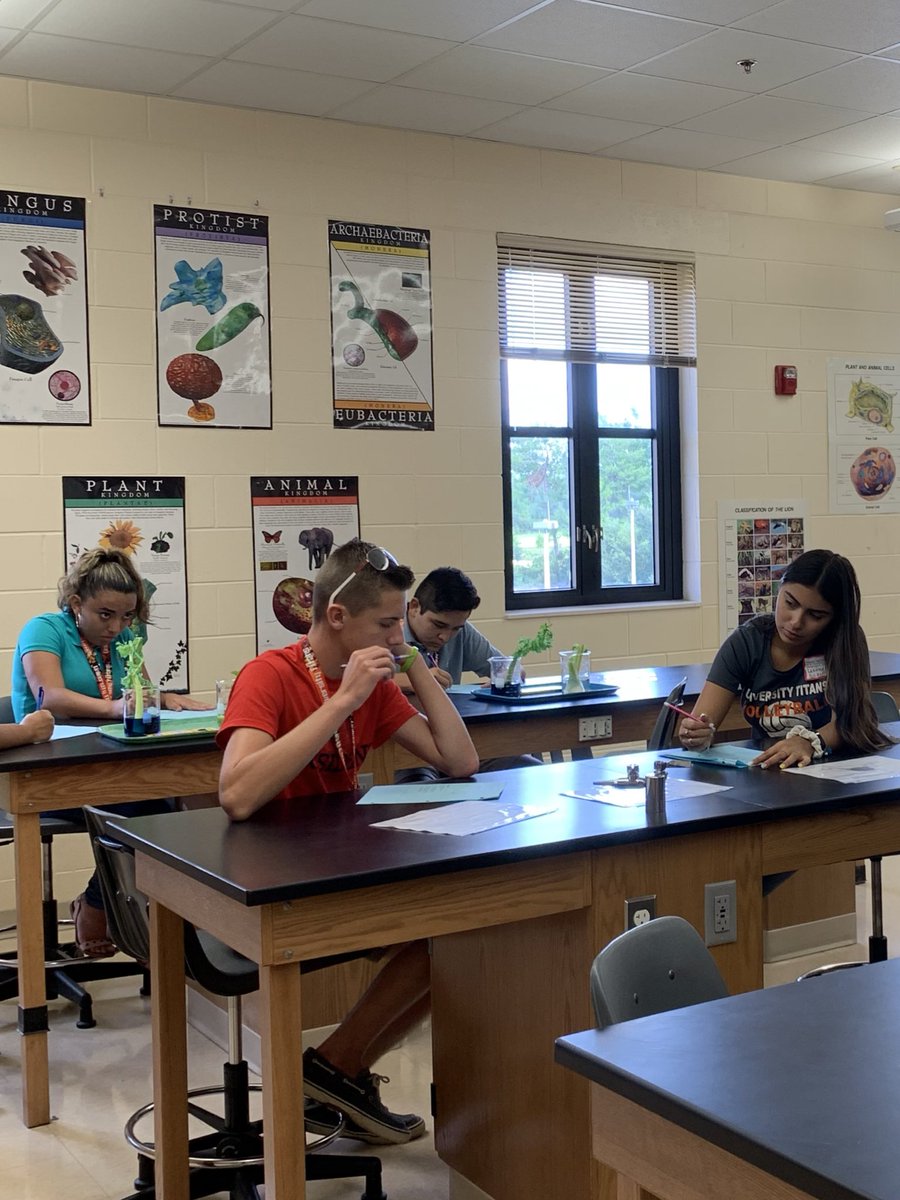 Monica Hendron tweet media