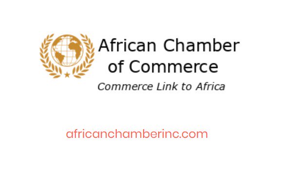 jbrillionaire's tweet photo. @Incluzion is now a strategic partner with the African Chamber of Commerce.  Why? Because there isn't a platform dedicated to sourcing the wealth of Black talent located in Africa.  &amp; African businesses don't have a way to source talent from other African Countries. #blacktwitter https://t.co/TYPWYCv5CL